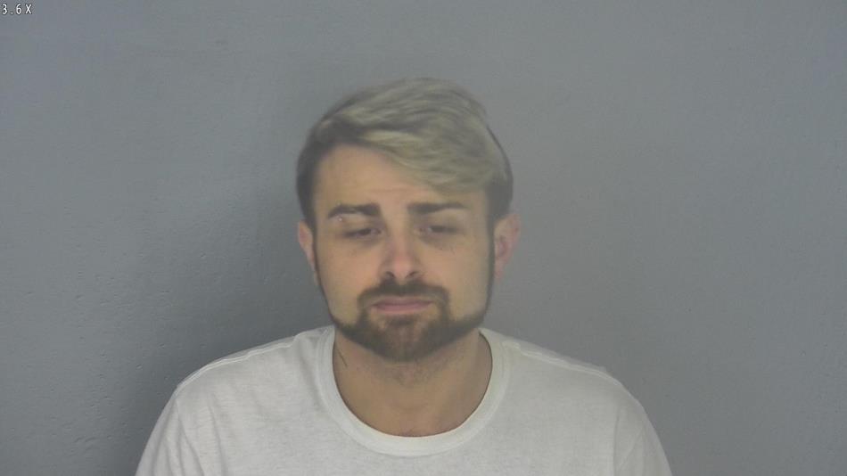 Arrest photo of LANCE MEDDOWS